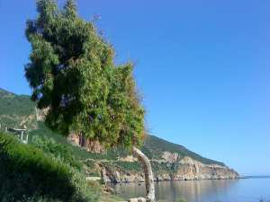 Corniche Chenoua Tipaza... !