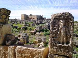 Les ruines de madaure