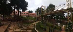 Auberge de jeunes Lalla Setti - Petit perdreau Tlemcen