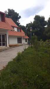 Auberge de jeunes Lalla Setti - Petit perdreau Tlemcen