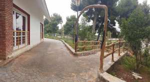 Auberge de jeunes Lalla Setti - Petit perdreau Tlemcen