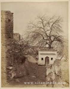 Village d'El-Eubbab près Tlemcen.