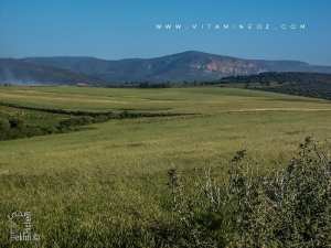 Amieur (wilaya de Tlemcen) région agro-pastorale