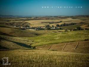 Commune de Amieur (wilaya de Tlemcen) céréaliculture et arboriculture en abondance