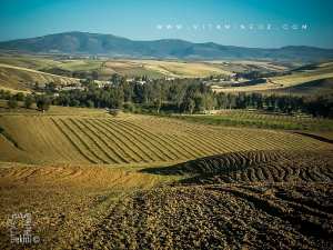 Au milieu des champs de blé le village de Bensekrane