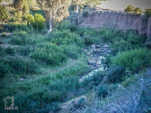 Oued Isser passant par la commune d'El Fhoul (Tlemcen)