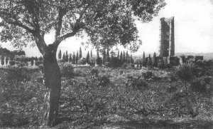 Les ruines de Mansourah, Tlemcen