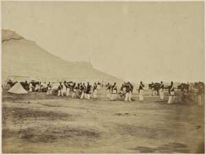 Artillerie de montagne (Photo rare)