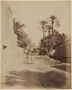 Le Vieux-Biskra (Photo rare)
