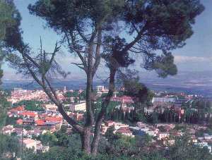 Vue générale de Tlemcen