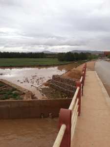 تسببت الفيضانات التي مست قرية ماقورة بالحدود الغربية لولاية تلمسان في خسائر فادحة للفلاحيين.