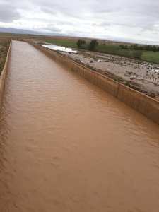 تسببت الفيضانات التي مست قرية ماقورة بالحدود الغربية لولاية تلمسان في خسائر فادحة للفلاحيين.