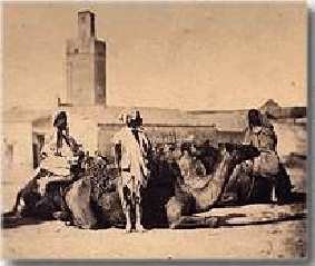 Photo rare d'une caravane de chameaux à Tlemcen