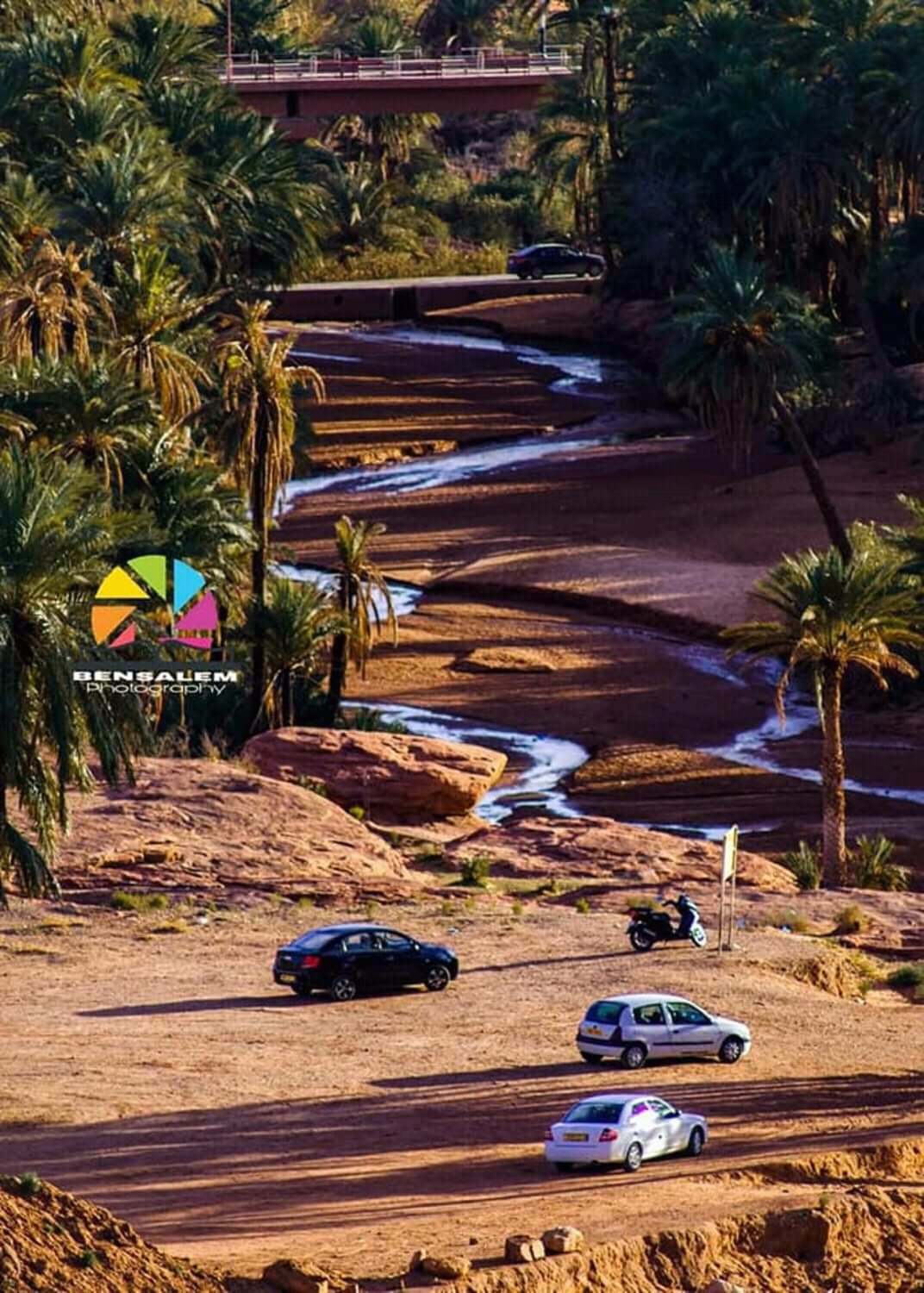 واحة تيوت عين الصفراء