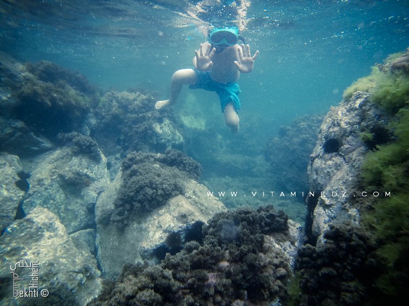 Fond sous marin de Boukhenaïs, plage sauvage entre ghazaouet et El Bkhata (Tlemcen)