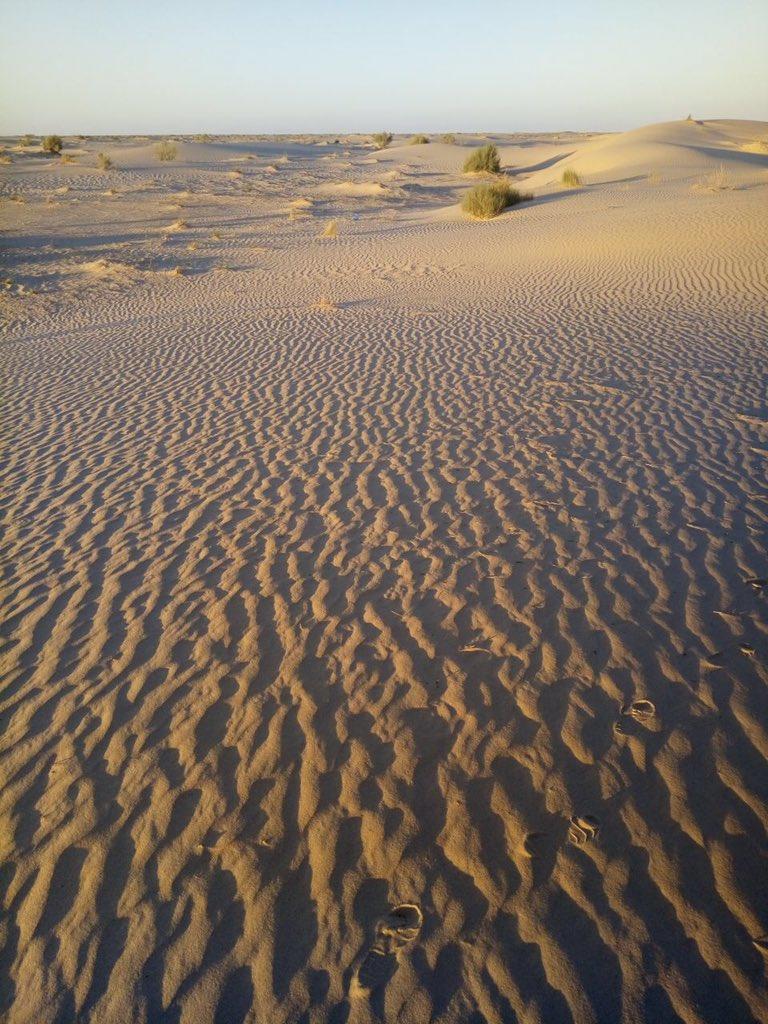 #El_Oued...! Ghouts, Algriculture Oasienne et Architecture...