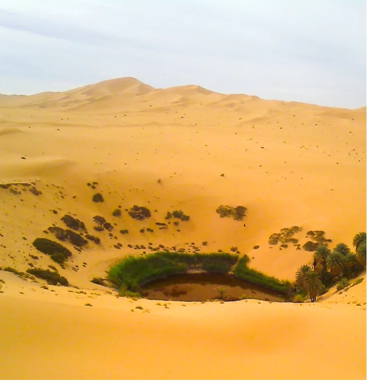 #El_Oued...! Ghouts, Algriculture Oasienne et Architecture...