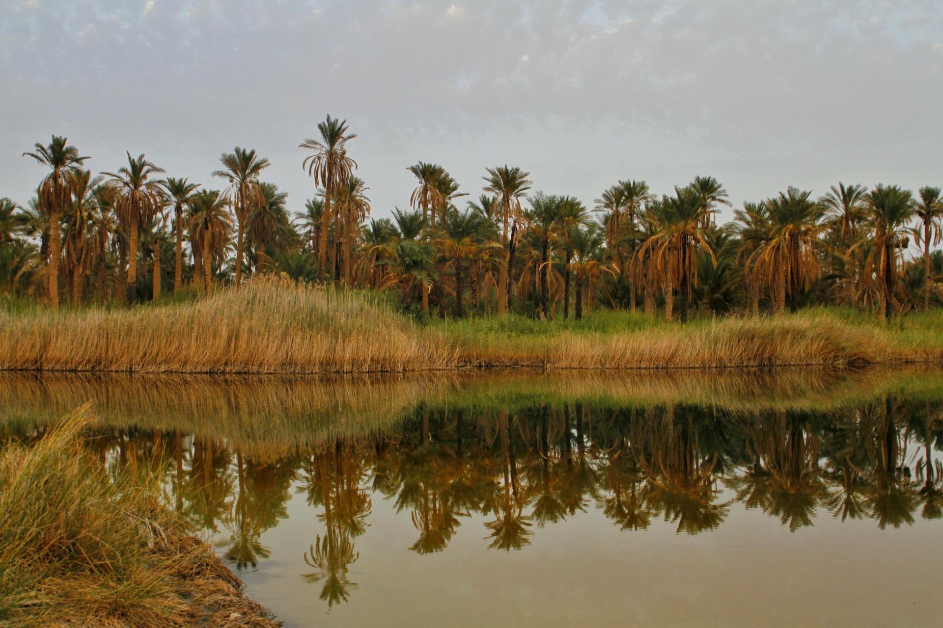 Touggourt... !   Une ville d'histoire et de lacs... !