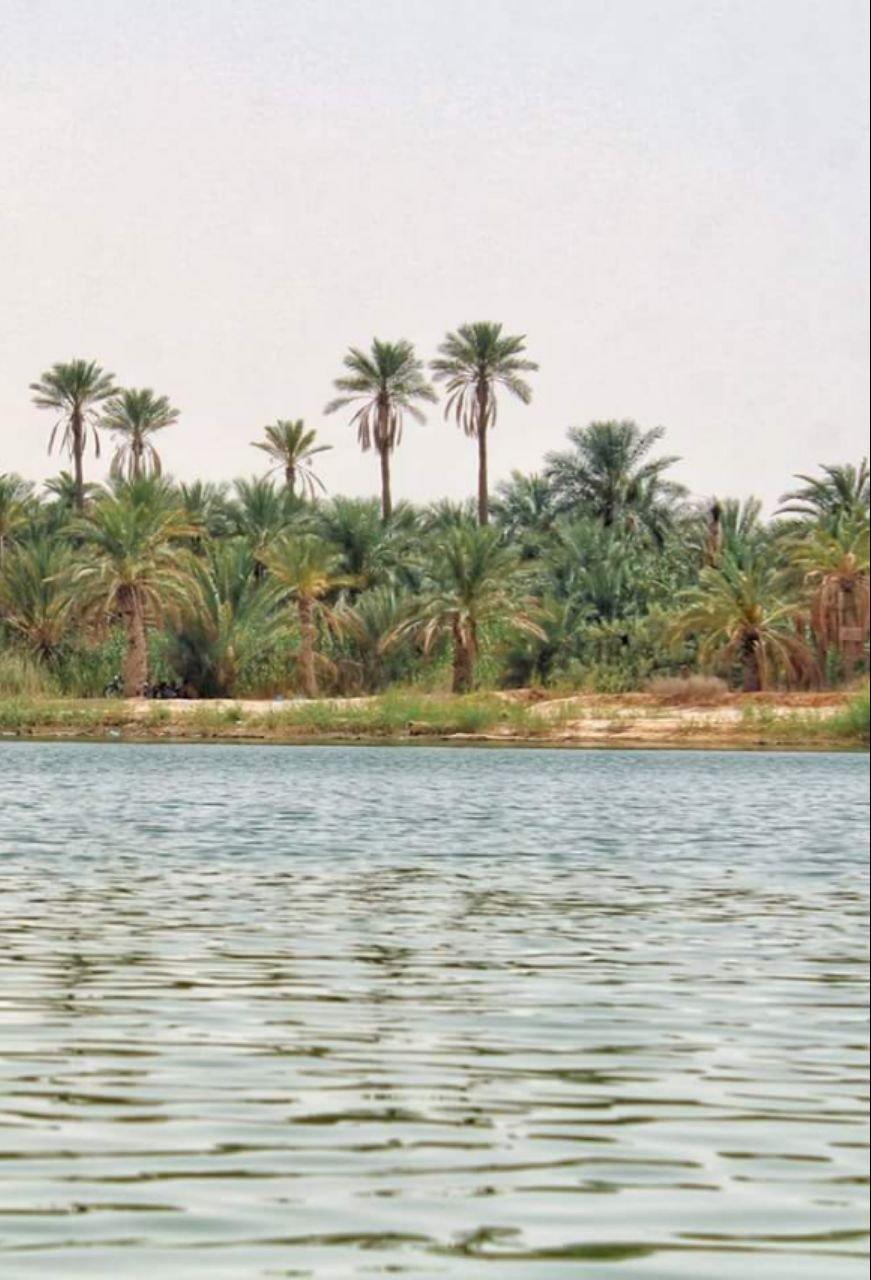 Touggourt... !   Une ville d'histoire et de lacs... !