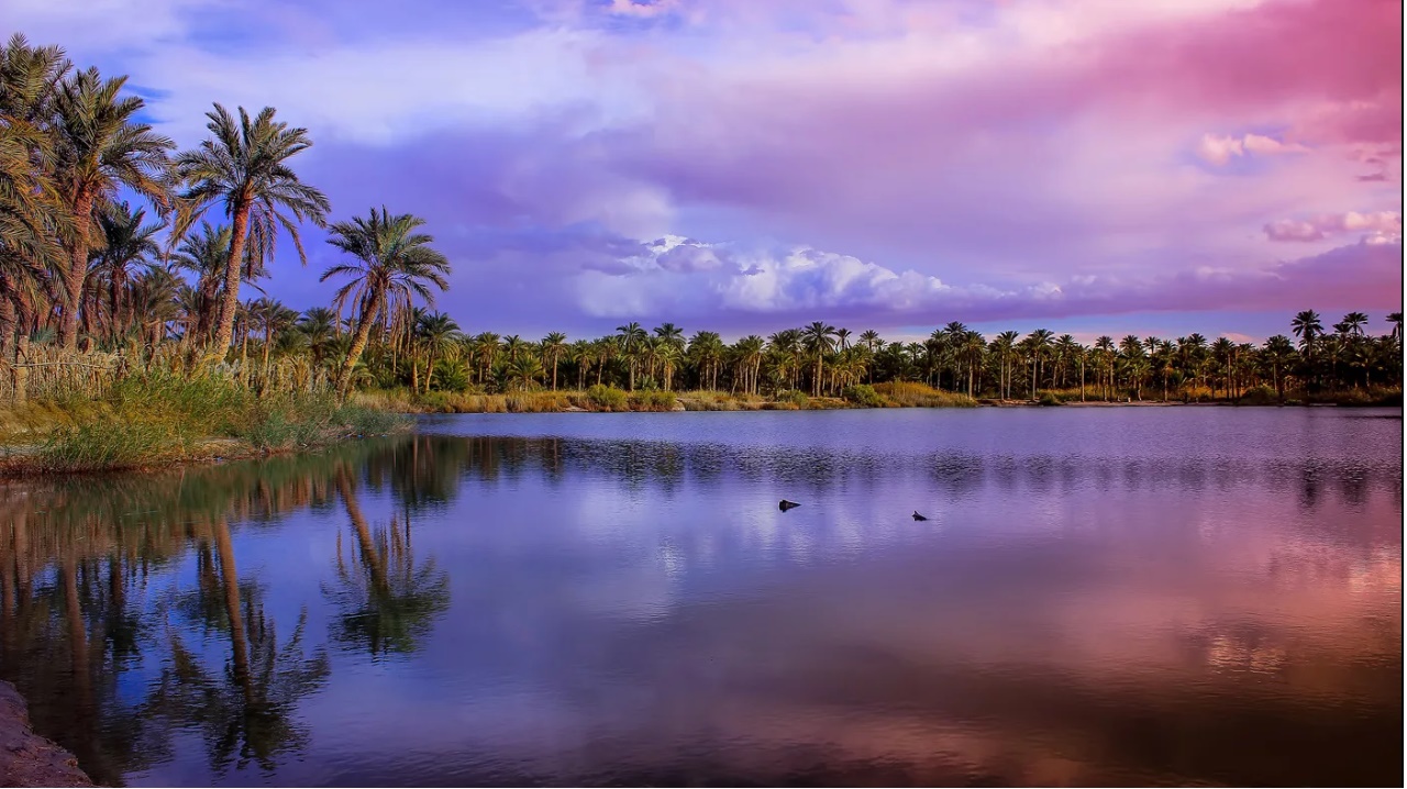 Touggourt... !   Une ville d'histoire et de lacs... !