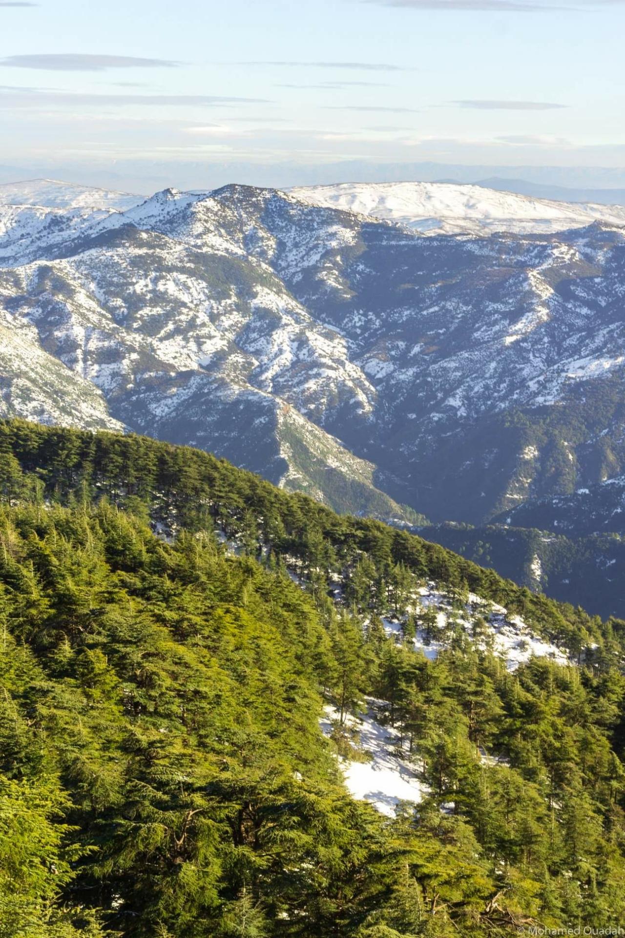 Les Parcs Naturels d'Algérie :