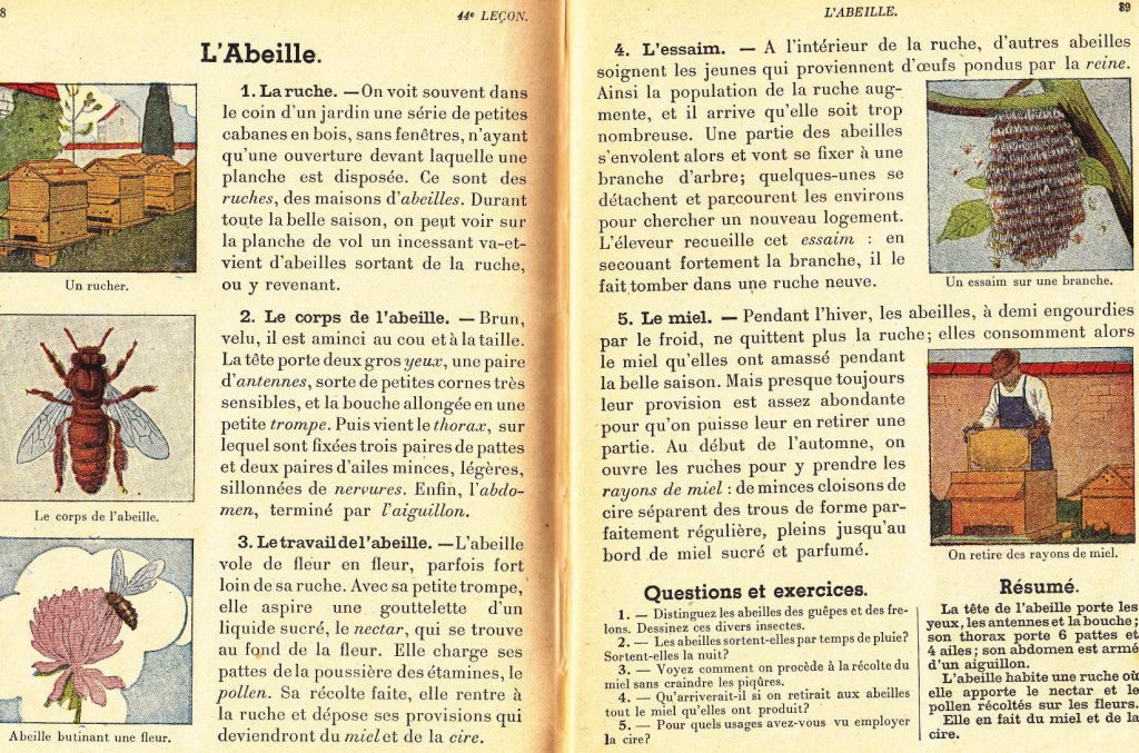 Livre leçon de choses