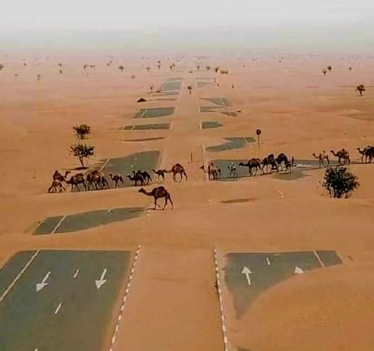 Le  #Sahara, le plus grand désert chaud du monde...!