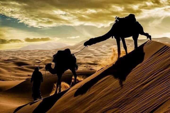 Le  #Sahara, le plus grand désert chaud du monde...!