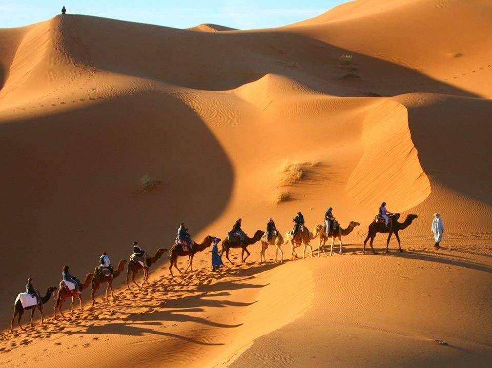 Le  #Sahara, le plus grand désert chaud du monde...!