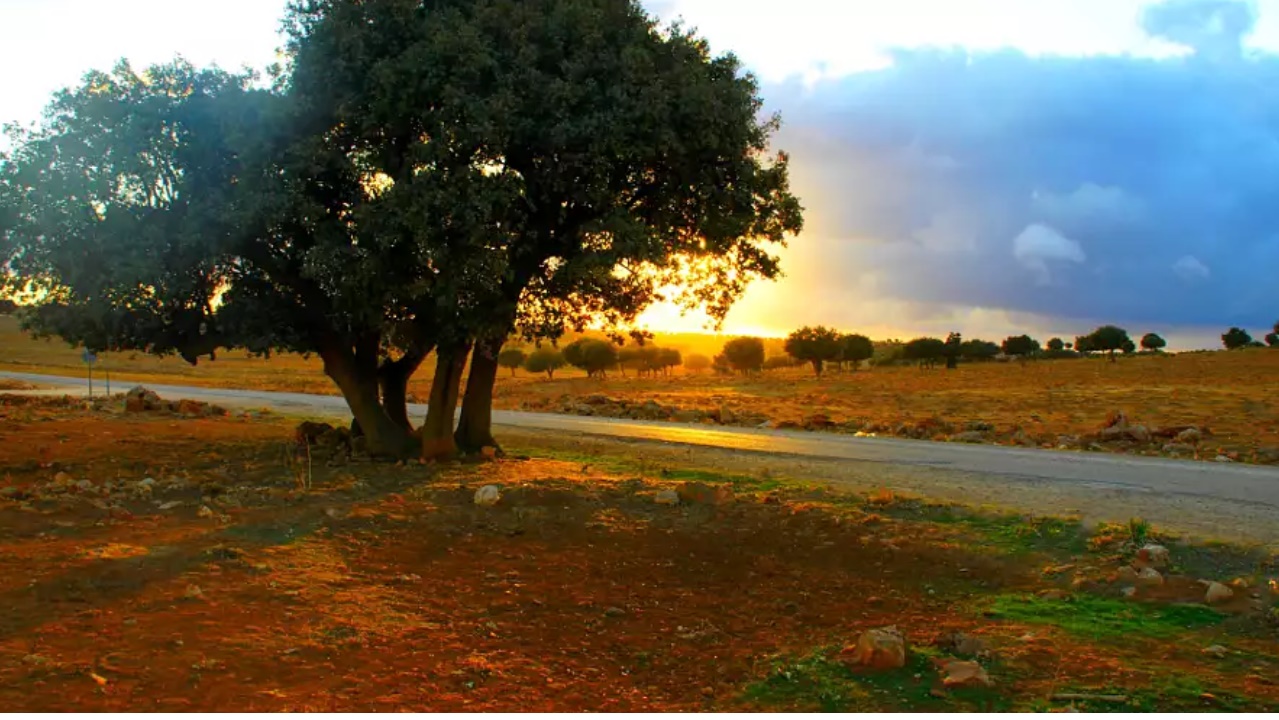 Saïda, la ville des eaux...!