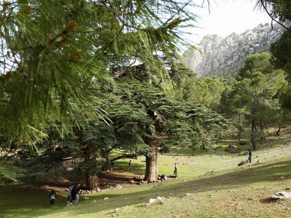 Un site paradisiaque au pied de l'Ouarsenis... !