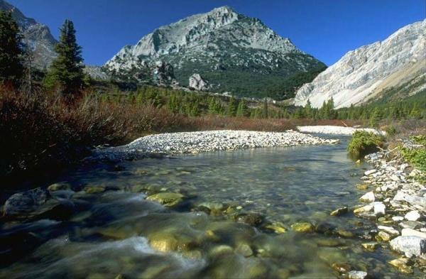 Un site paradisiaque au pied de l'Ouarsenis... !