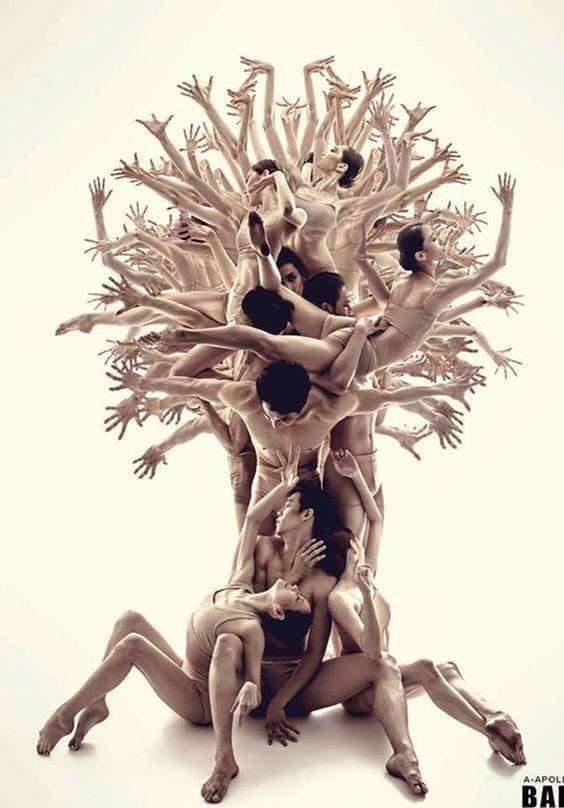 L’arbre de vie, ballet, par Roman Shatsky. l