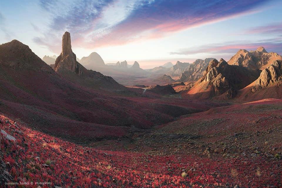 #Tamanrasset: le Tafsit 