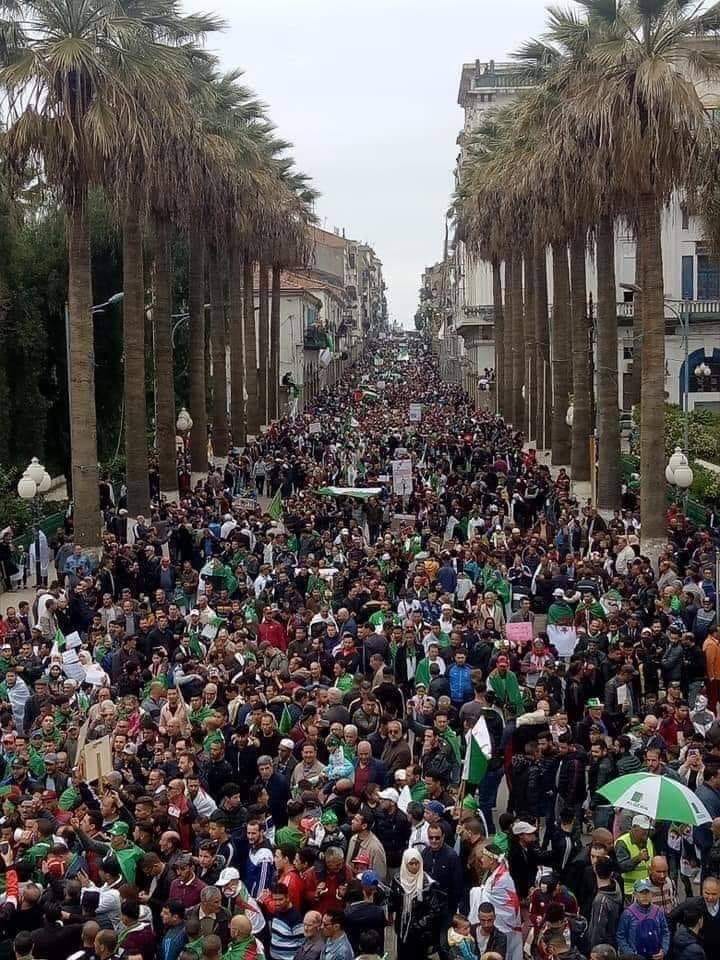 Liberté à toi Algérie Par Docteur Nesrine Maharzi
