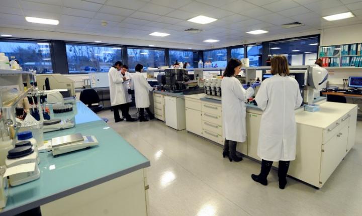 stage pratique en etranger