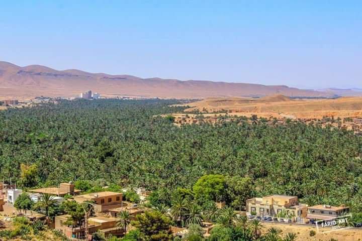 #Tolga, #Biskra :  Une perle de oasis ... !