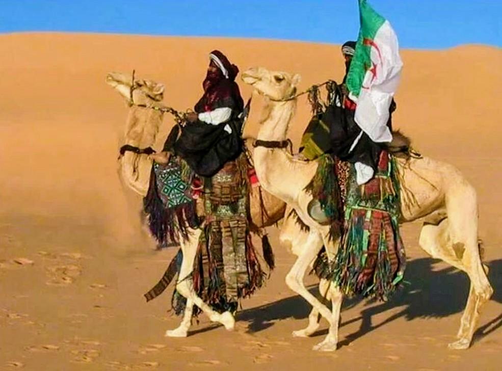 Le #Dromadaire, bien de chez nous... !