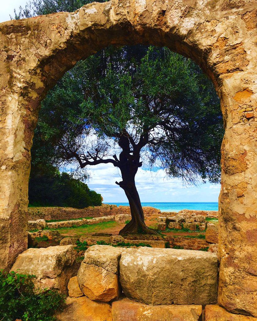 Corniche Chenoua Tipaza... !