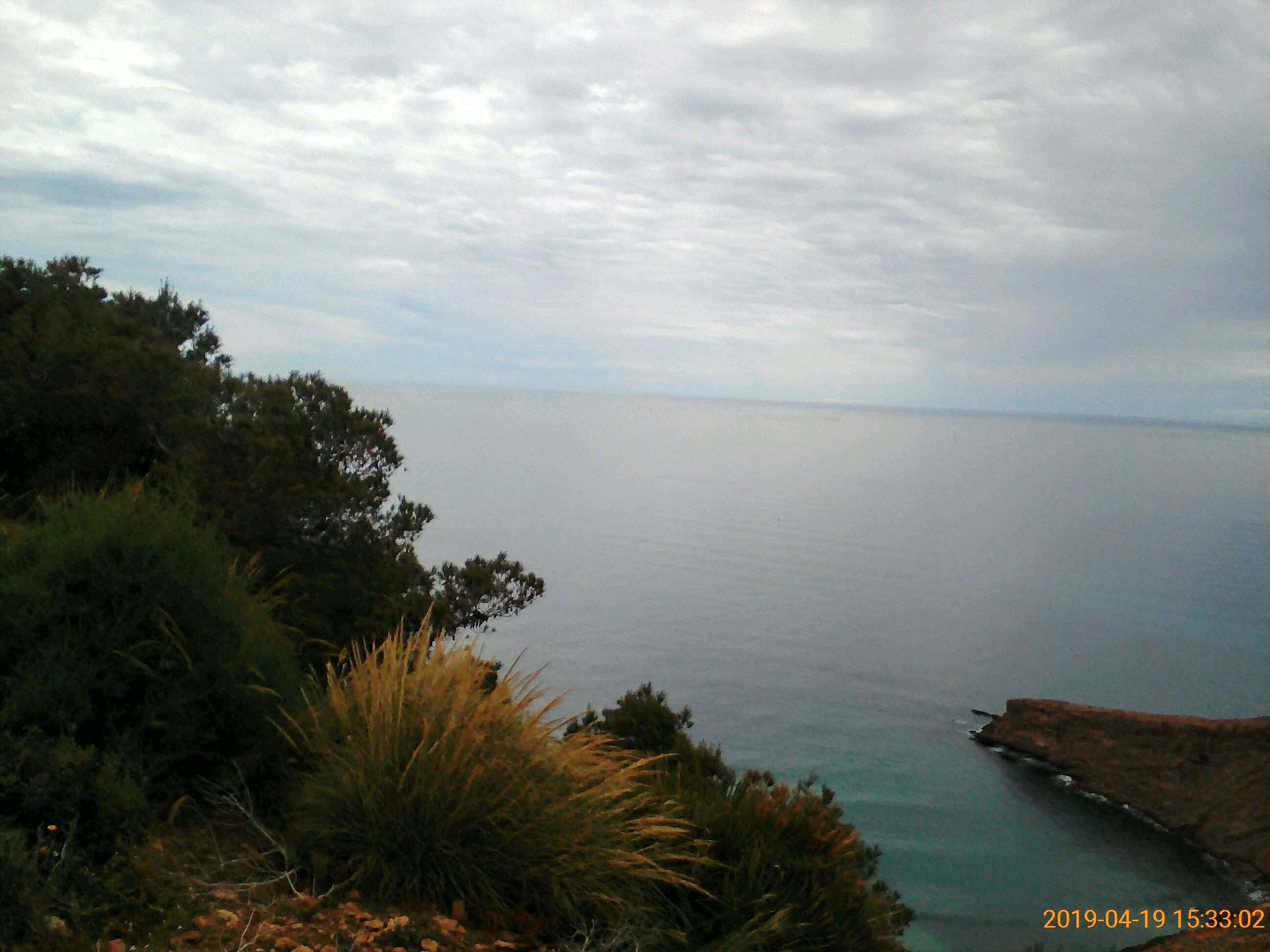 Forêt de Canastel - Oran