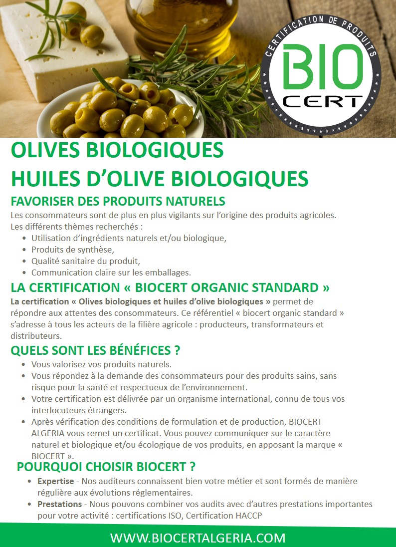 olive et huile d'olive