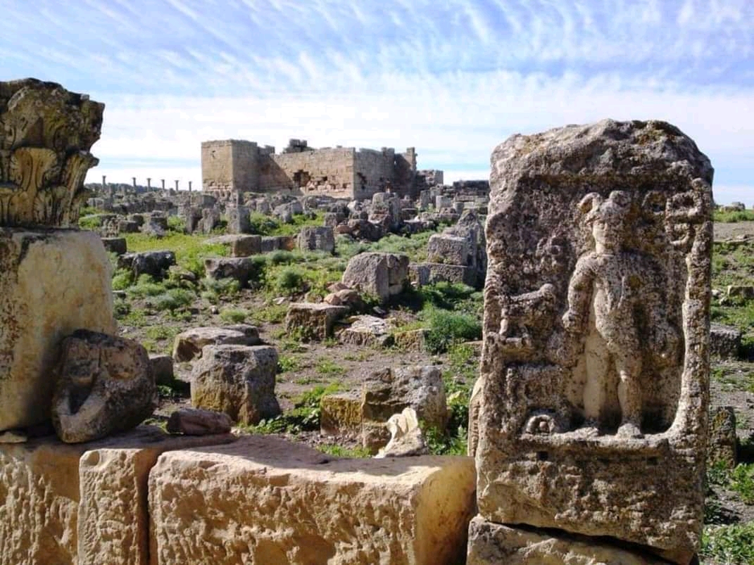 Les ruines de madaure