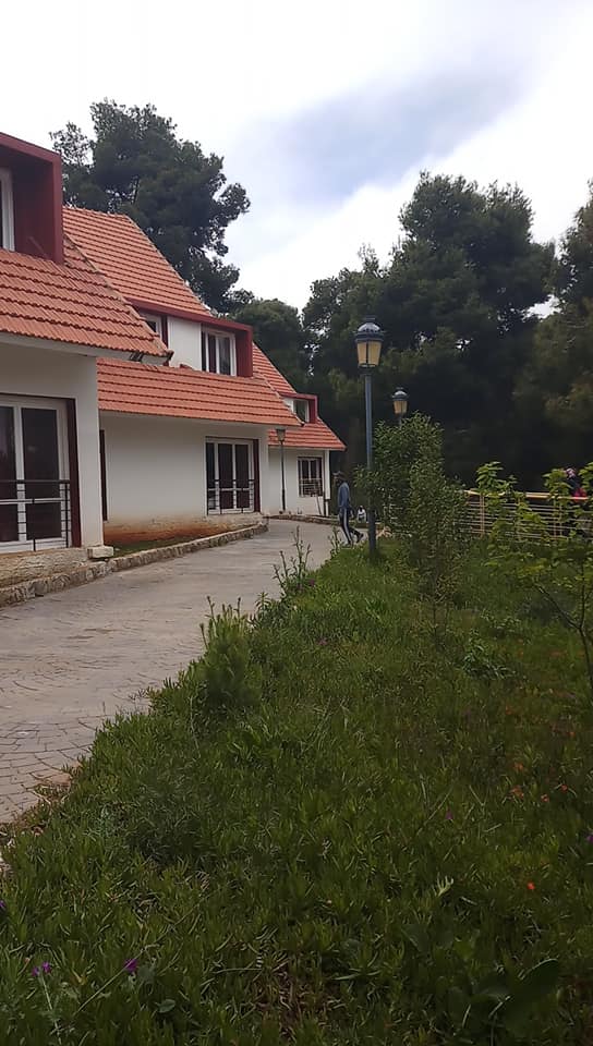 Auberge de jeunes Lalla Setti - Petit perdreau Tlemcen