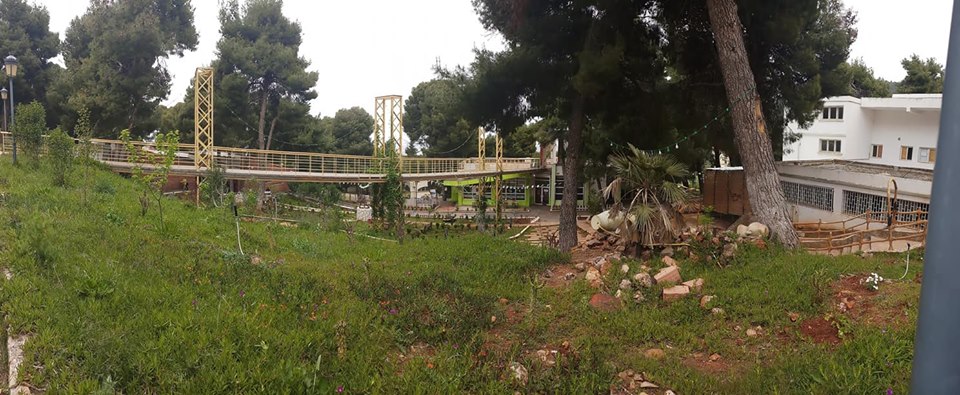 Auberge de jeunes Lalla Setti - Petit perdreau Tlemcen