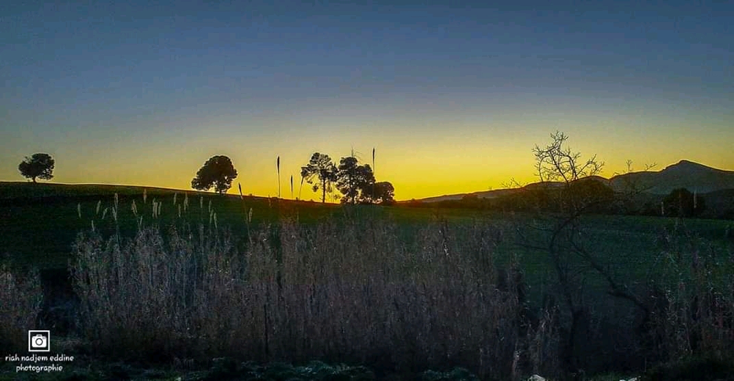 زعرورية وقت الغروب