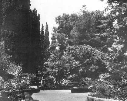 Jardin de la pépinière Tlemcen (Hartoun)