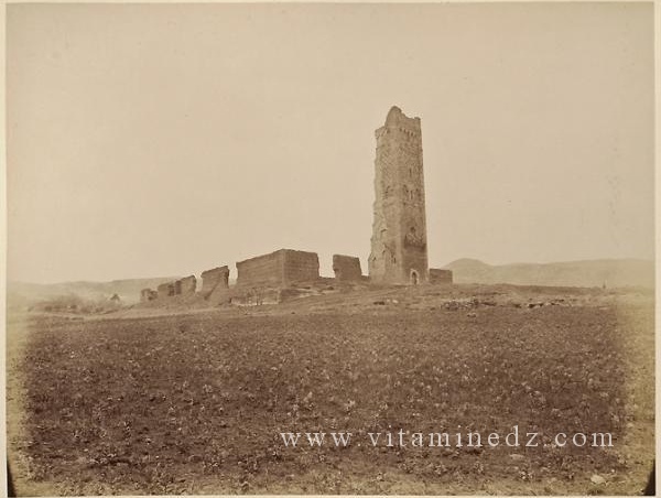 Ruines de Mansourah. Mosquée