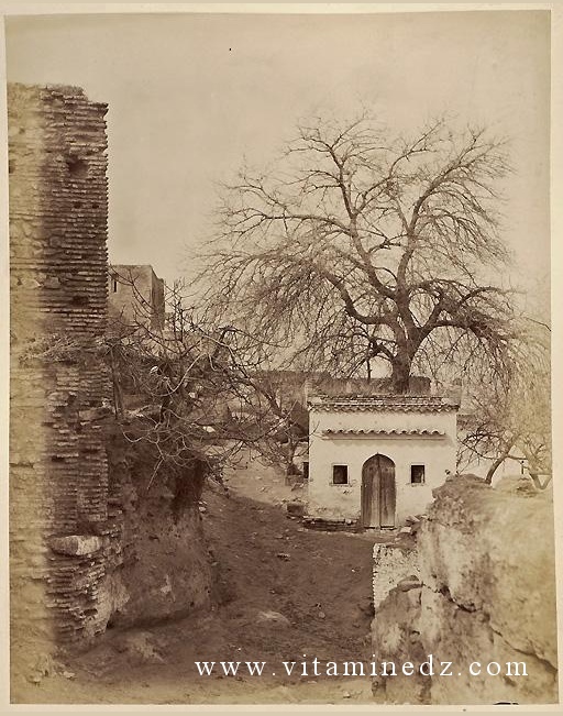 Village d'El-Eubbab près Tlemcen.
