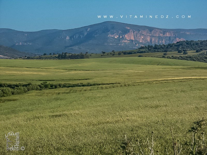 Ballade à Amieur (wilaya de Tlemcen)