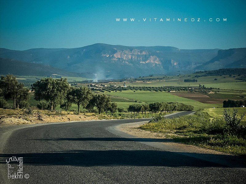 Route Ouzidan vers Amieur (wilaya de Tlemcen)
